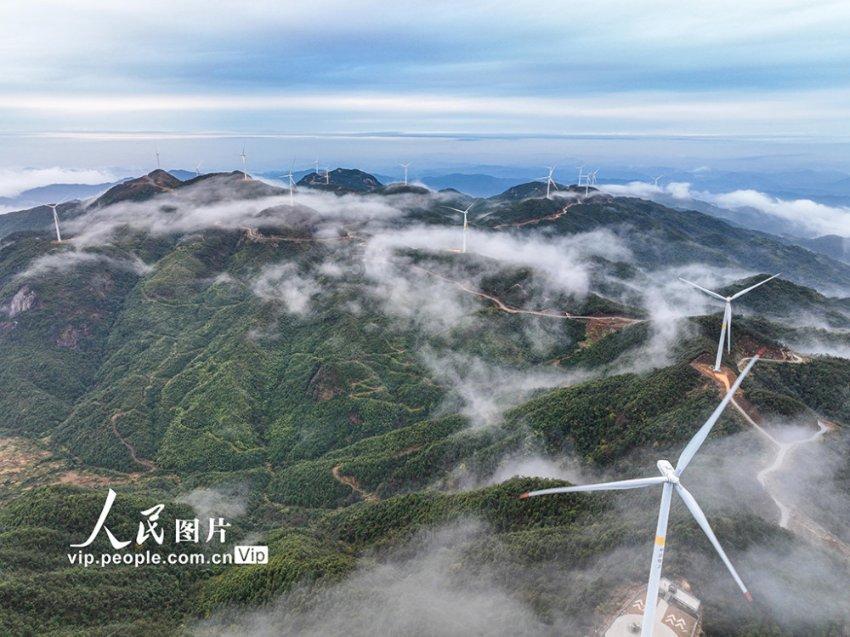 比亚迪股份发盈喜 预计2023年度归母净利润290亿到310亿元